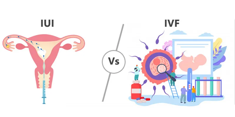 1695361768iui-vs-ivf-which-fertility-treatment-option-is-right-for-you.webp